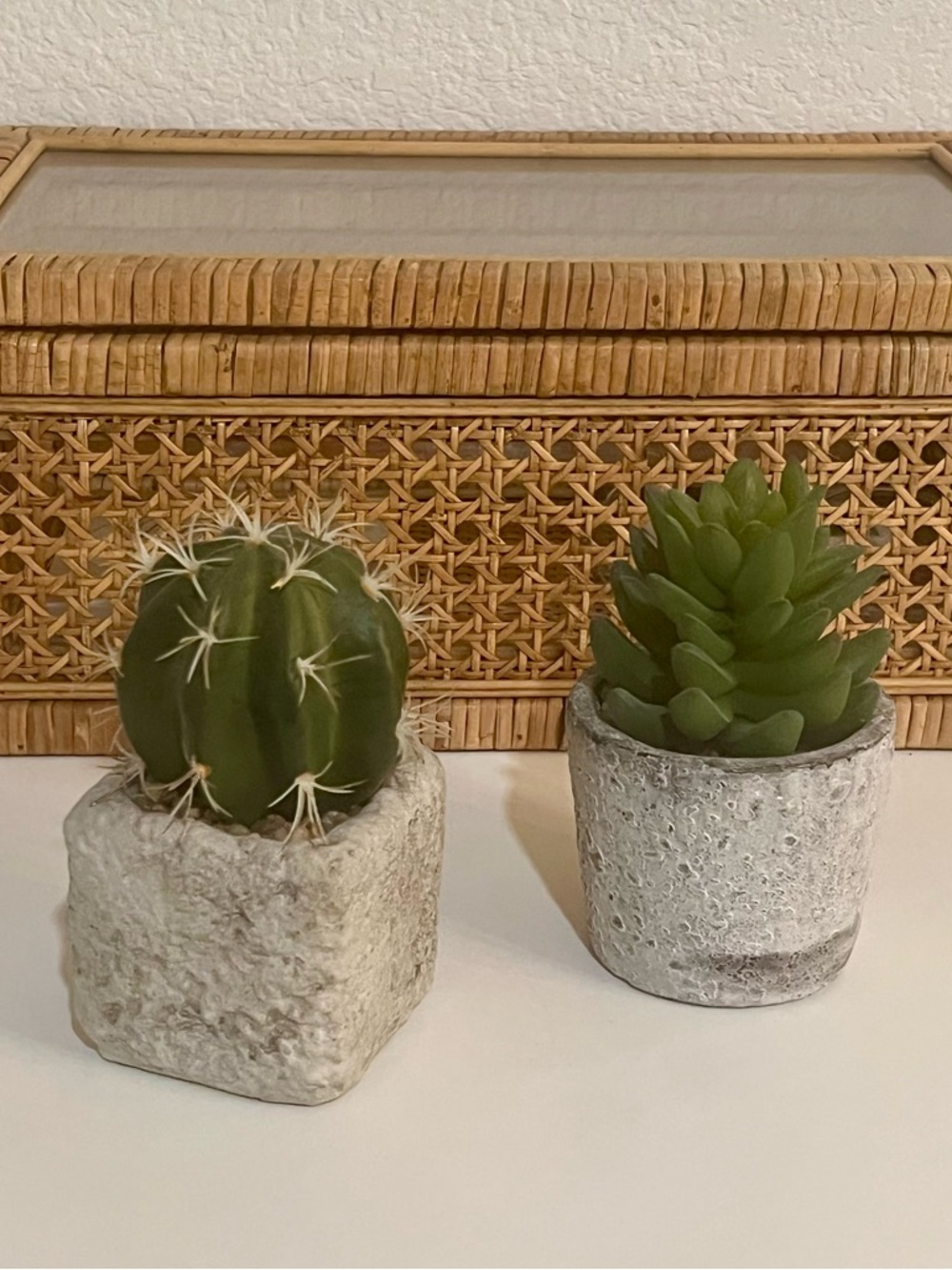 Mini Cactus & Succulent Concrete Planter Home Decor Bundle Set